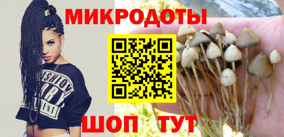 Галлюциногенные грибы мицелий Новороссийск